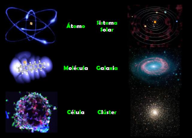 Comparación entre estructuras del universo y de la vida